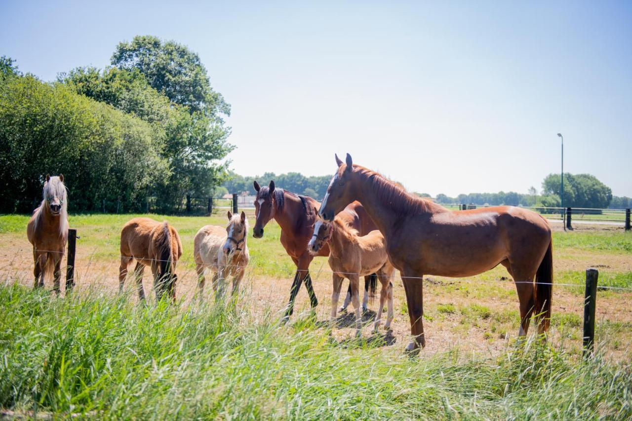 Natuurpoort Van Loon Loon op Zand エクステリア 写真